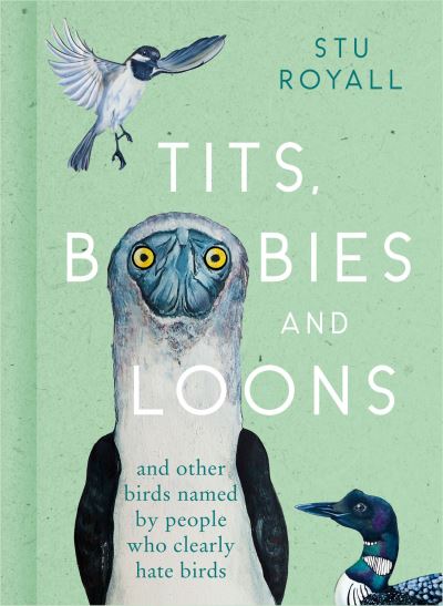 Tits, Boobies and Loons and Others Birds Named by People Who Clearly Hate Birds