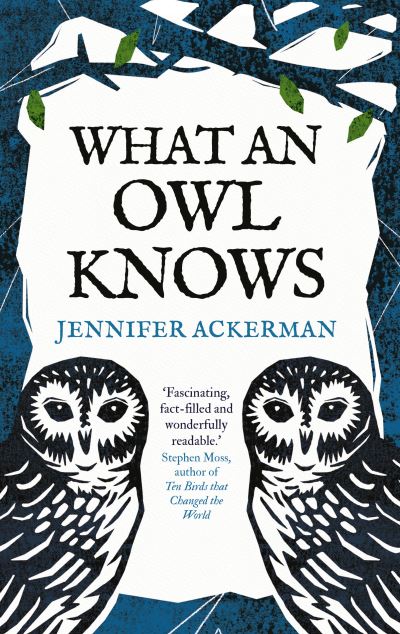 What an owl knows