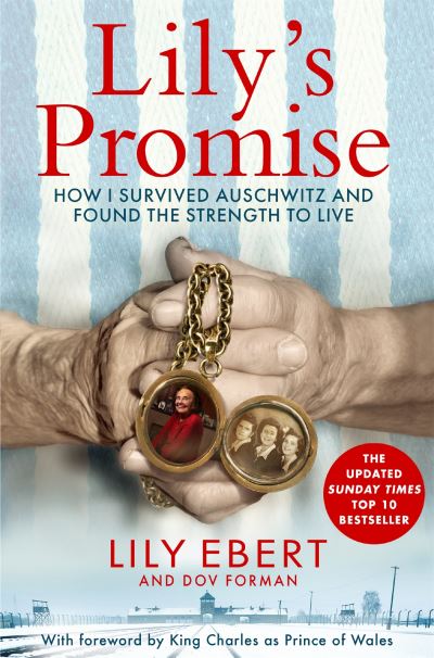 Lily's promise