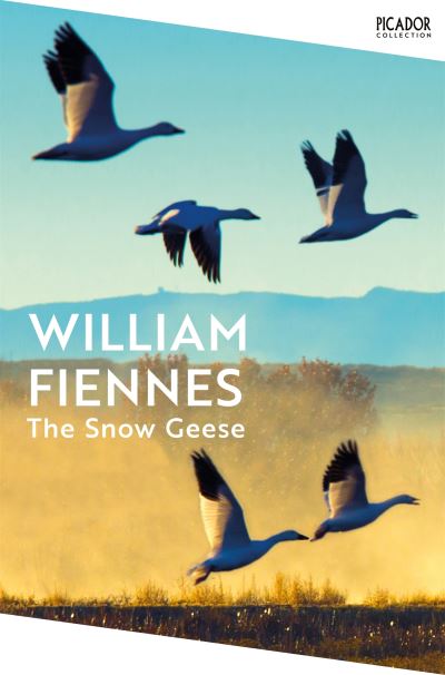 The snow geese
