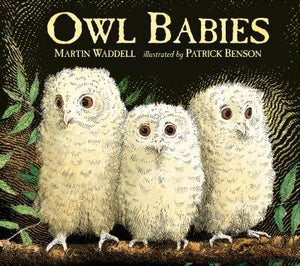 Owl babies