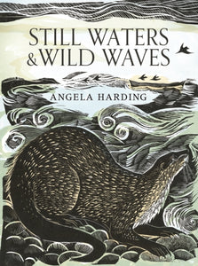 Still Waters and Wild Waves - Angela Harding