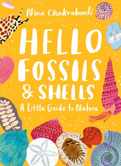 Hello fossils and shells