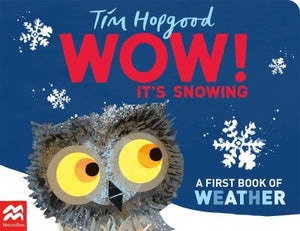 Wow! it's snowing