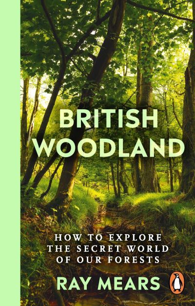 British woodland