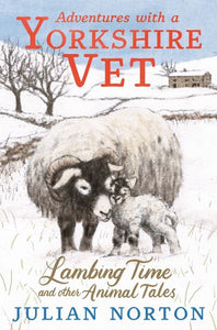 Lambing time and other animal tales
