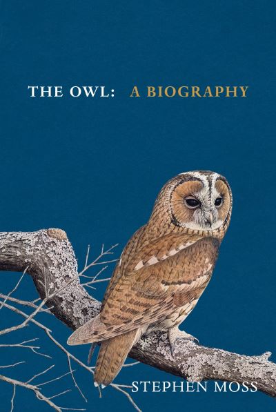 The owl