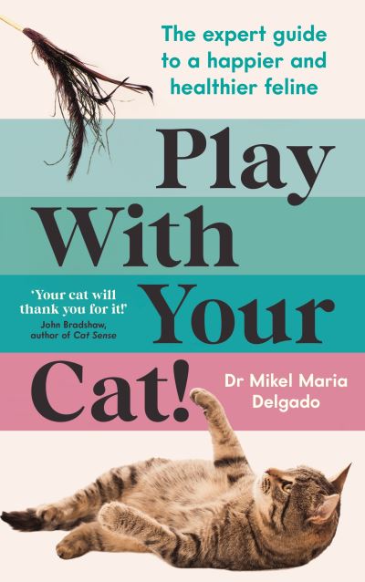 Play with your cat!