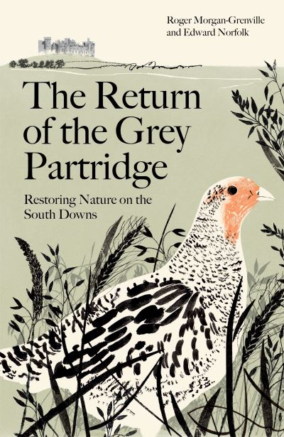 The return of the grey partridge