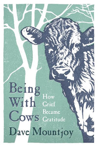 Being with cows