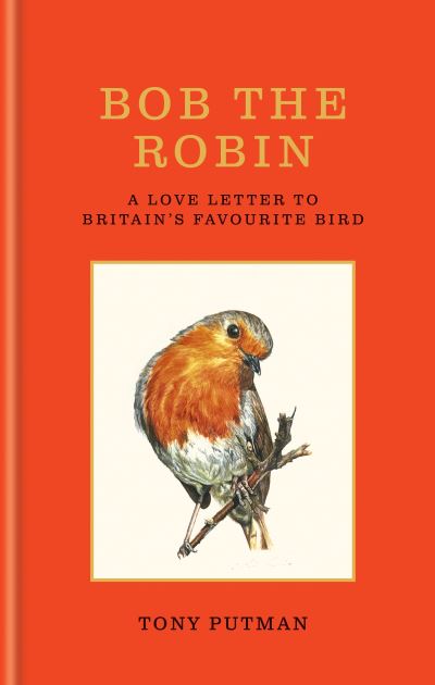 Bob the robin