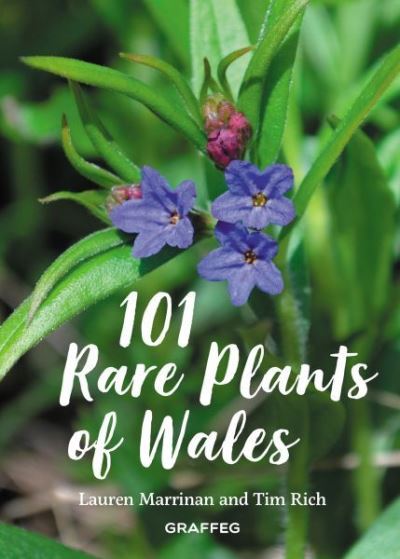 101 Rare Plants Of Wales