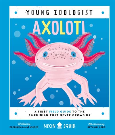 Axolotl