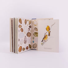 Load image into Gallery viewer, The Book of Birds
