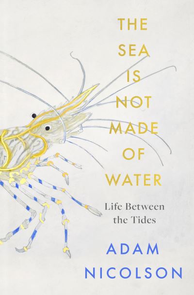 The Sea Is Not Made of Water