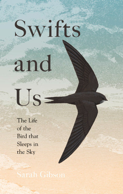 Swifts and Us