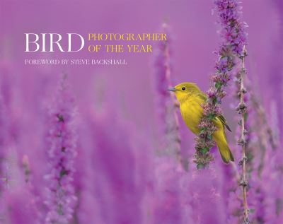 Bird Photographer of the Year. Collection 7