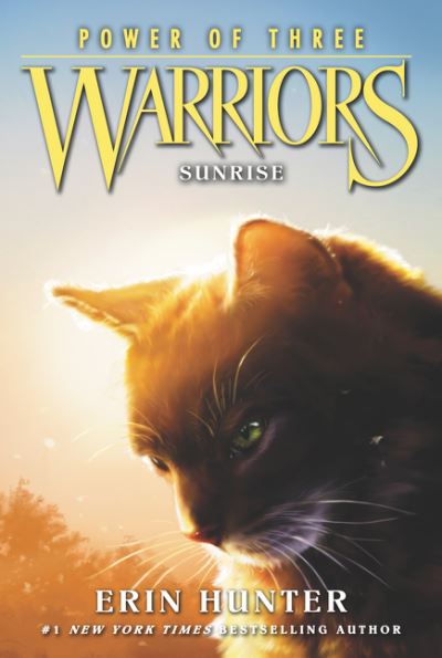 Warriors: Power of Three #6