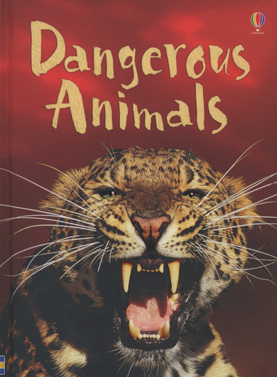 Beginners:Dangerous Animals
