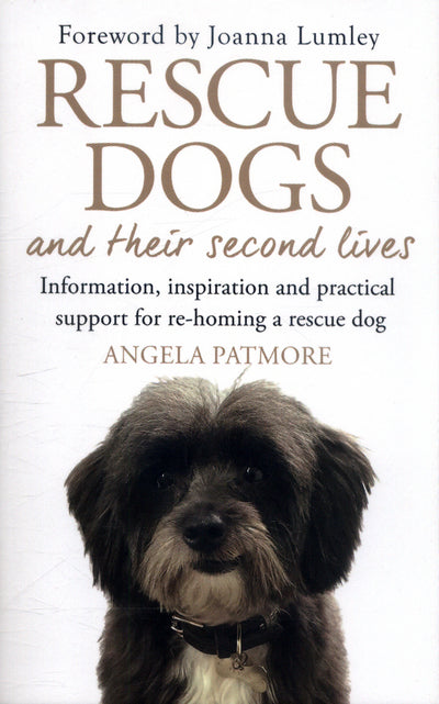 Rescue Dog & Their Second Lives