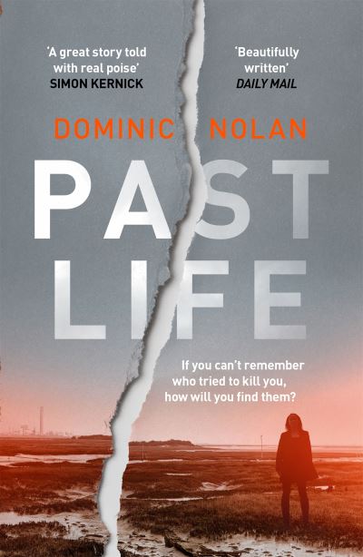 Past Life: the most 'astonishing' and 'gripping' crime debut of 2019