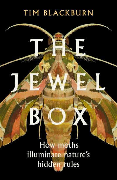 The jewel box