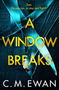 Window Breaks: A Nerve-shredding, Pulse-racing Thriller With Real Heart That You