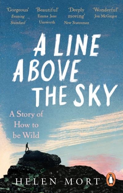 A line above the sky