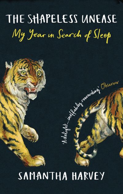 The Shapeless Unease: A Year of Not Sleeping