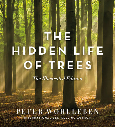 Hidden Life Of Trees Illustrated Version