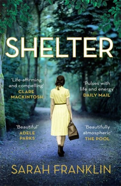 Shelter: `One of the year's hottest debuts'