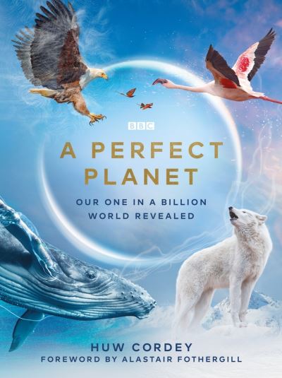 Perfect planet