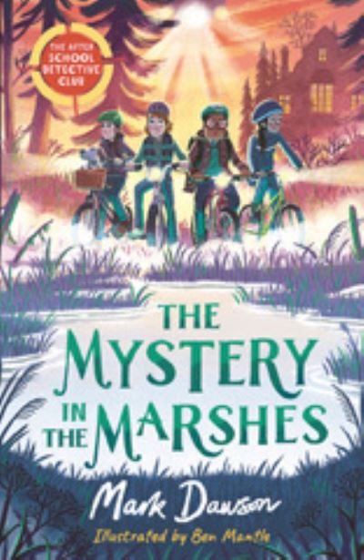 The mystery in the marshes