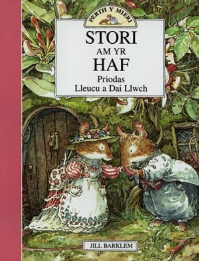 Stori am yr haf