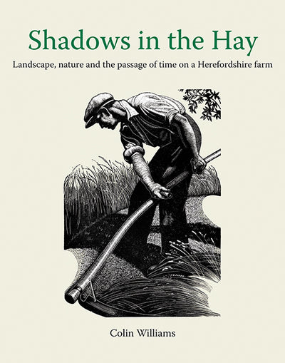 Shadows in the Hay