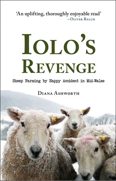 Iolo's Revenge: Sheep Farming by Happy Accident in Mid-Wales