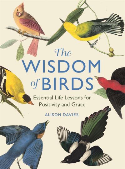 The wisdom of birds
