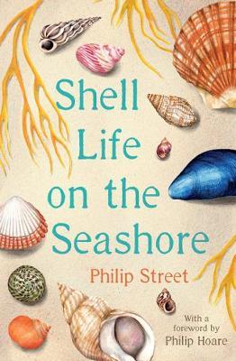 Shell Life On The Seashore