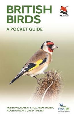 British Birds: A Pocket Guide