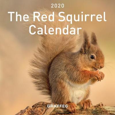 Red Squirrel Calendar